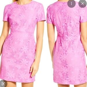 Rachel Parcell Pink Lace Dress